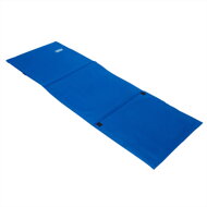 Saltea de plajă cu spătar și pernă, 158 x 56 cm, albastră
