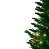 Brad artificial de Crăciun RUDOLPH cu luminițe, 150 cm, verde