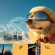 Cușcă de transport pentru câini BRUNO, 89x70x51cm, argintiu/negru