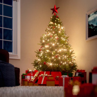 Brad artificial de Crăciun RUDOLPH, 150 cm, verde