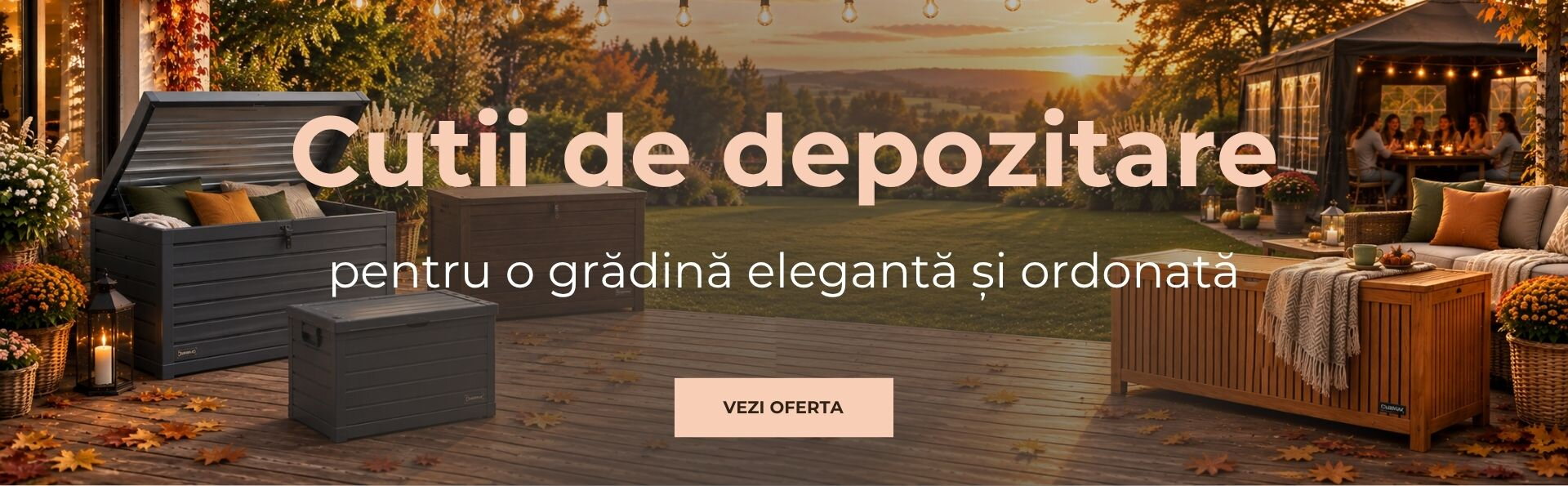 Cutii de depozitare