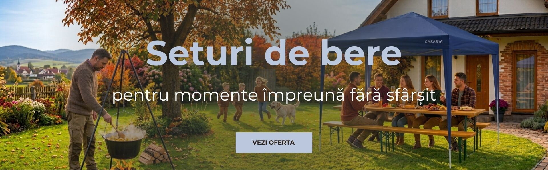 Seturi de bere