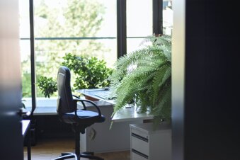 5 sfaturi pentru a crea un birou plăcut